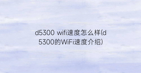 d5300wifi速度怎么样(d5300的WiFi速度介绍)